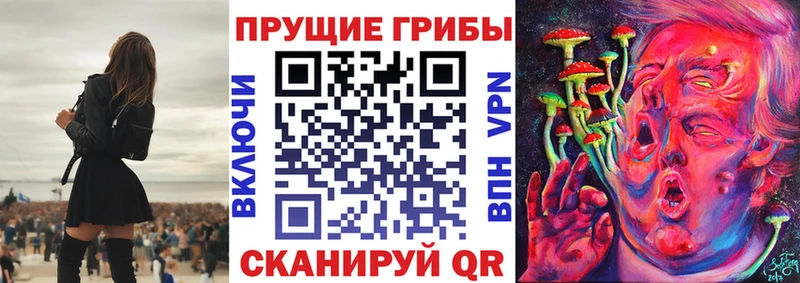 Купить закладки  Навашино  Псилоцибиновые грибы Magic Shrooms 